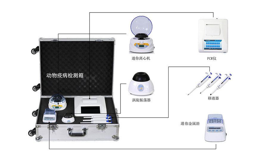 非洲豬瘟快速檢測儀